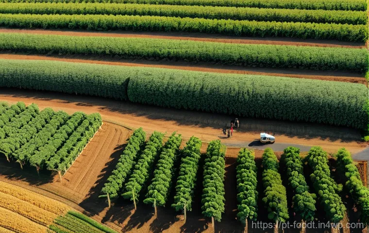 푸드테크와 식품 혁신을 위한 협업 사례 - Regenerative Harmony in the Portuguese Countryside**

**Prompt:** A vibrant, sun-drenched aerial vie...